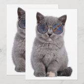 Galactische blik Het Stellar Kat in Zonnebril (Voorkant / Achterkant)