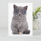 Galactische blik Het Stellar Kat in Zonnebril (Staand voorkant)