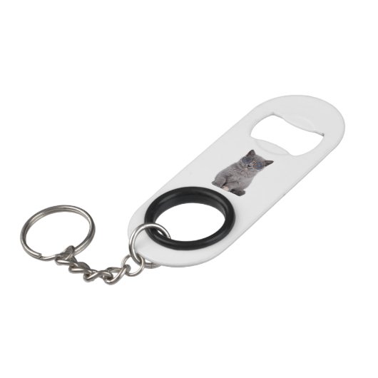 Galactische blik Het Stellar Kat in Zonnebril Mini Flessenopener (Voorkant Gekanteld)