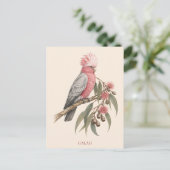 Galah-ansichtkaart | Bush-editie Briefkaart (Staand voorkant)
