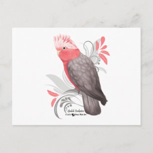 Galah Cockato Briefkaart