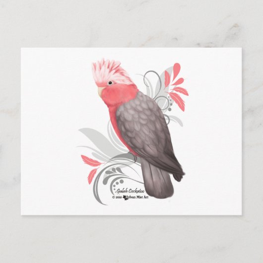 Galah Cockato Briefkaart (Voorkant)