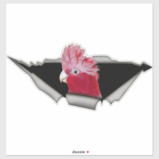 Galah Cockatoo Sticker – Pink Parrot Bird Decal (Vel)