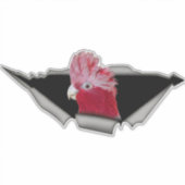 Galah Cockatoo Sticker – Pink Parrot Bird Decal (Voorkant)
