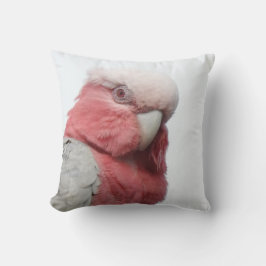 Galah Cushion Kussen