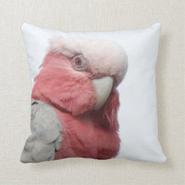 Galah Cushion Kussen