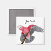 Galah Kaketoe Magneet (Voorkant / Achterkant)