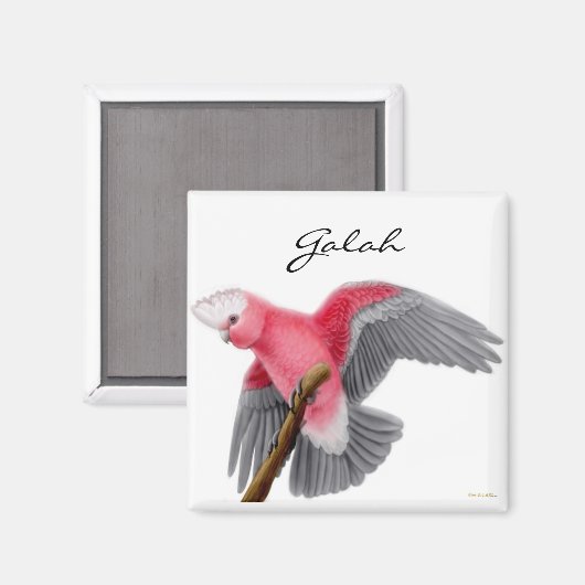 Galah Kaketoe Magneet (Voorkant / Achterkant)
