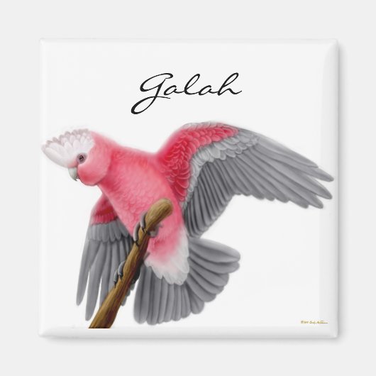 Galah Kaketoe Magneet (Voorkant)