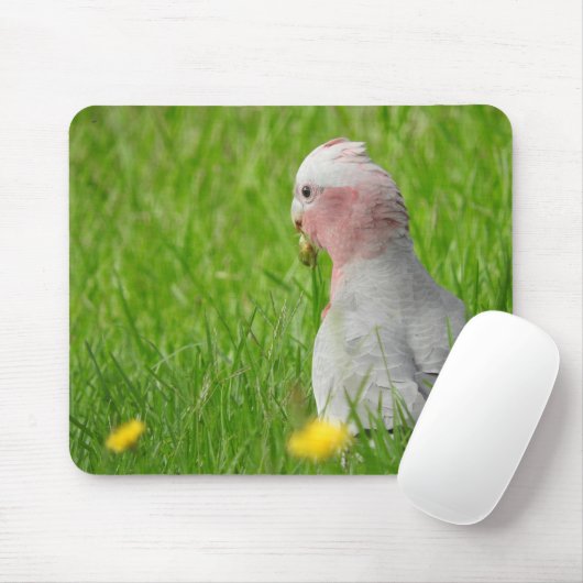 Galah Mousepad Muismat (Met muis)