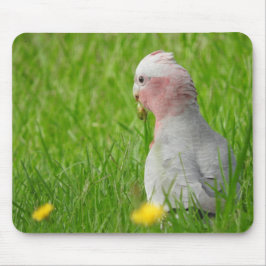 Galah Mousepad Muismat