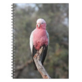 Galah Notitieboek (Voorkant)