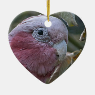 Galah of Roze Borst Kaketoe Keramisch Ornament