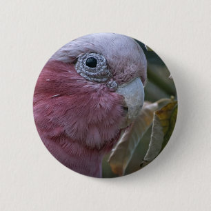 Galah of Roze borst kaketoe Ronde Button 5,7 Cm