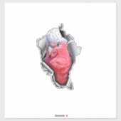 Galah Parrot Vinyl Decal – Pink & Grey Bird Sticke Sticker (Vel)