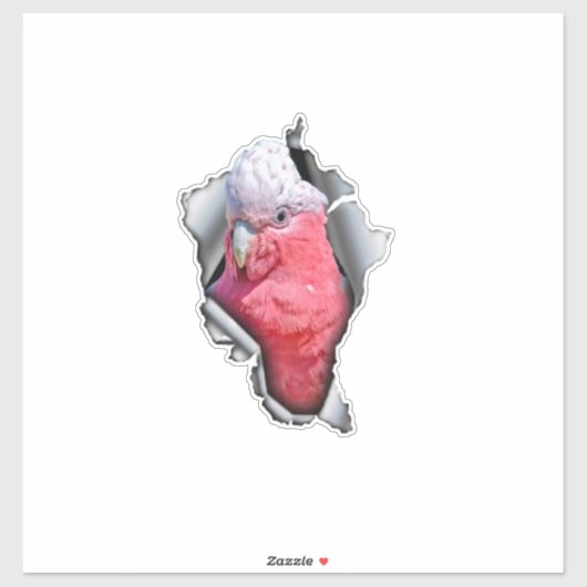 Galah Parrot Vinyl Decal – Pink & Grey Bird Sticke Sticker (Vel)