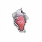 Galah Parrot Vinyl Decal – Pink & Grey Bird Sticke Sticker (Voorkant)