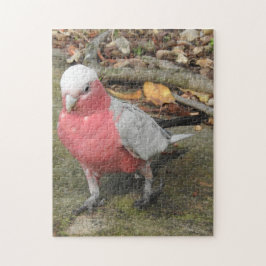Galah Puzzle Legpuzzel