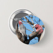 Galah Ronde Button 5,7 Cm (Voorkant /achterkant)