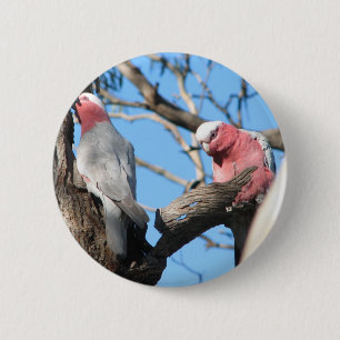 Galah Ronde Button 5,7 Cm