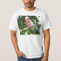 Galah (Roos gekweekt katoenzaad)