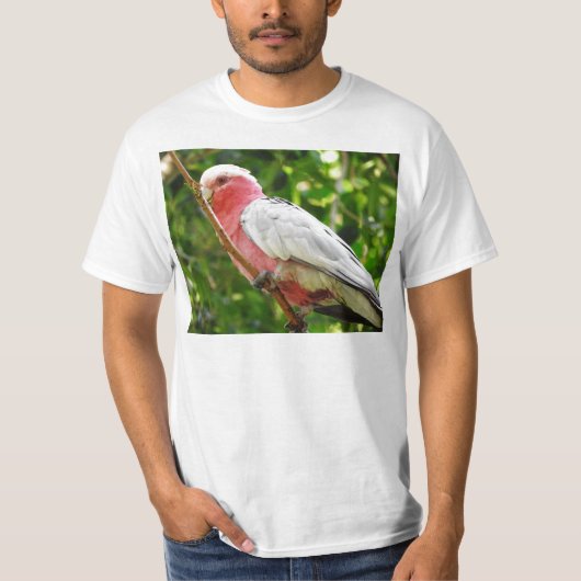 Galah (Roos gekweekt katoenzaad) T-shirt (Voorkant)