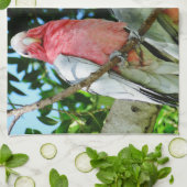 Galah (Roos gekweekt katoenzaad) Theedoek (Gevouwen)