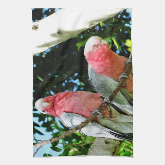 Galah (Roos gekweekt katoenzaad) Theedoek (Verticaal)