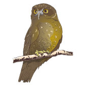 Galah roze kaketoe patroon bagagelabel