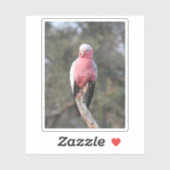 Galah Sticker (Vel)
