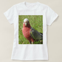 Galah T-Shirt