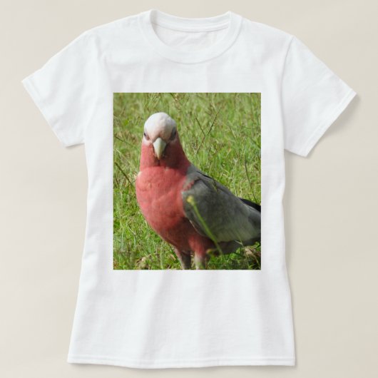 Galah T-Shirt (Design voorkant)