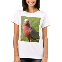 Galah T-Shirt
