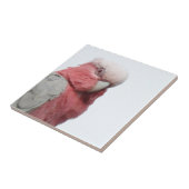 Galah Tile Tegeltje (Zijkant)