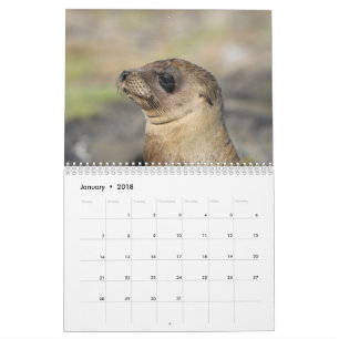 Galapagos - 12-maanden wandkalender kalender