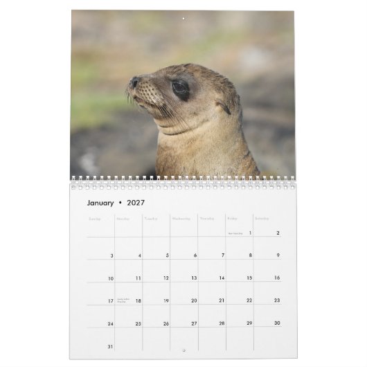 Galapagos - 12-maanden wandkalender kalender (Jan 2027)