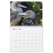 Galapagos - 12-maanden wandkalender kalender (Feb 2027)