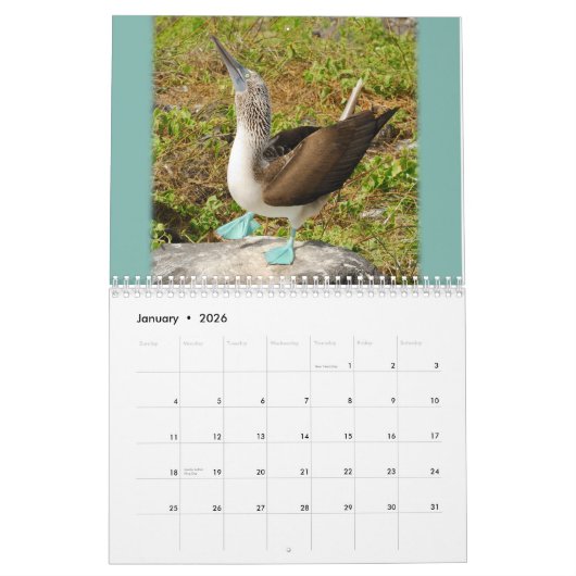 Galapagos. Agenda Kalender (Jan 2026)