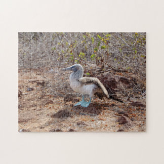 Galapagos blauw-voetzoolpuzzel legpuzzel
