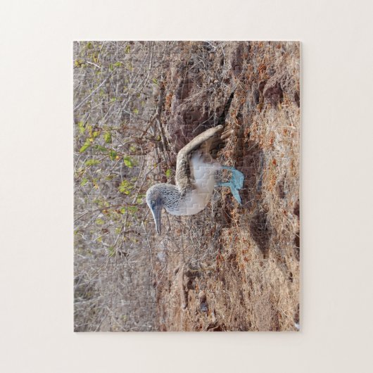 Galapagos blauw-voetzoolpuzzel legpuzzel (Verticaal)