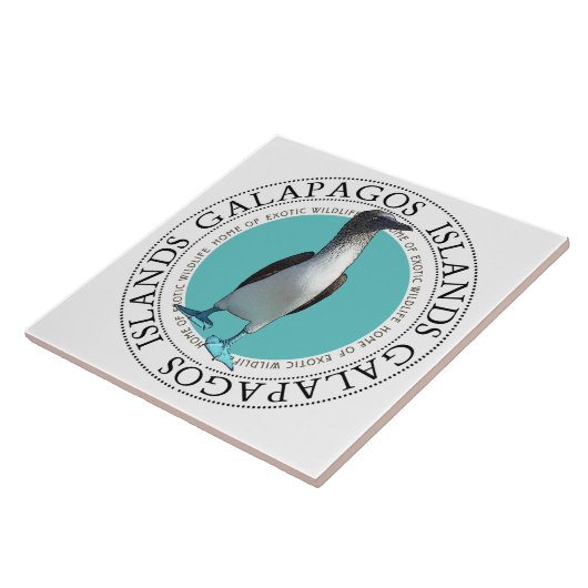 Galapagos Blauwe Vogel Tegeltje (Zijkant)