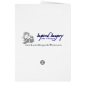 Galapagos Blauwe Vogels (Achterkant)