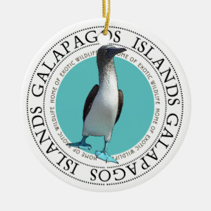 Galapagos Blue Footed Booby Keramisch Ornament
