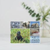 galapagos briefkaart (Staand voorkant)