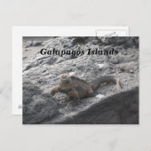 Galapagos Briefkaart (Voorkant / Achterkant)