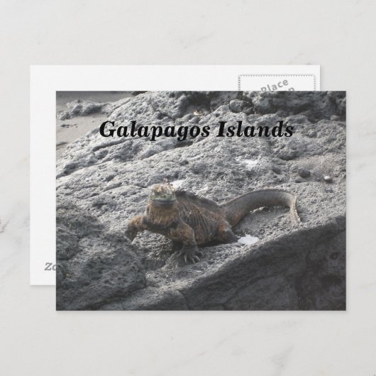 Galapagos Briefkaart (Voorkant / Achterkant)