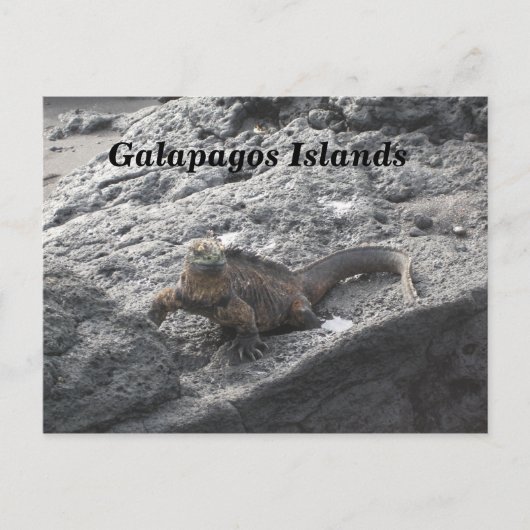 Galapagos Briefkaart (Voorkant)