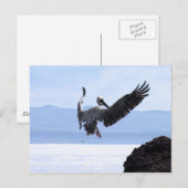 Galapagos Briefkaart (Voorkant / Achterkant)