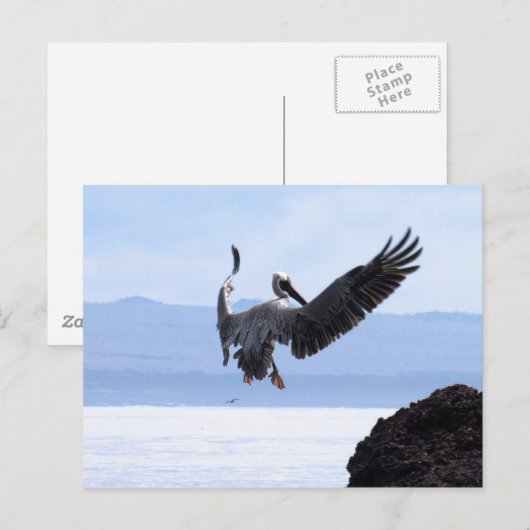 Galapagos Briefkaart (Voorkant / Achterkant)