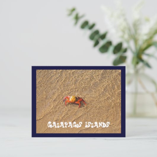 Galapagos Briefkaart (Staand voorkant)